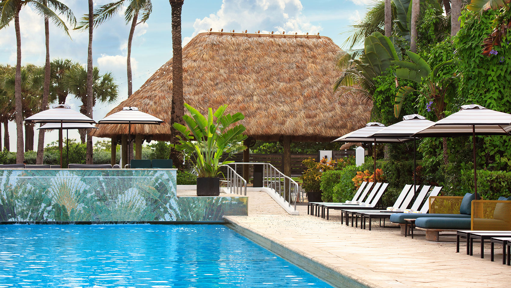 pool and high tide bar