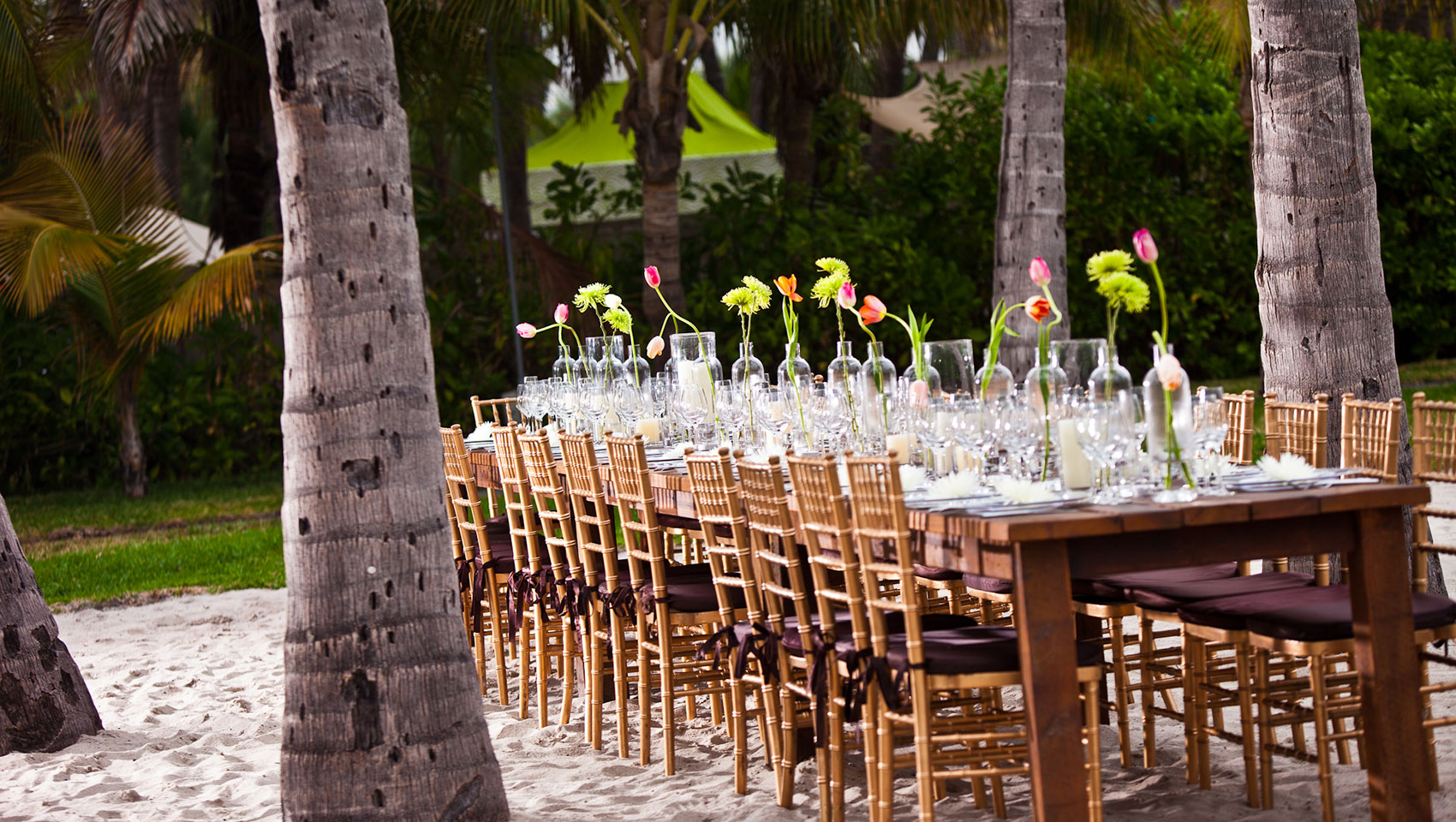 Wedding Dinner on the Beach