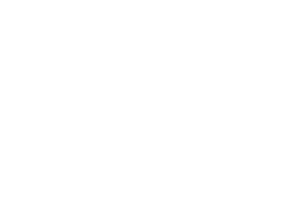 The Solei logo