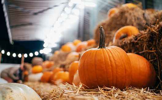 pumpkins
